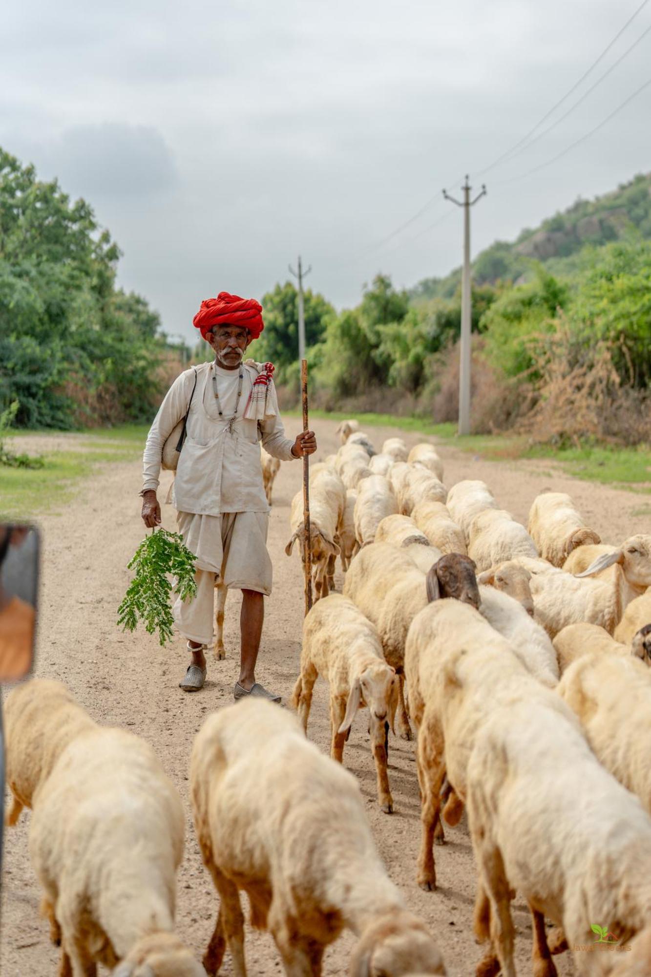 Jawai Greens Jawai Bandh Exterior photo