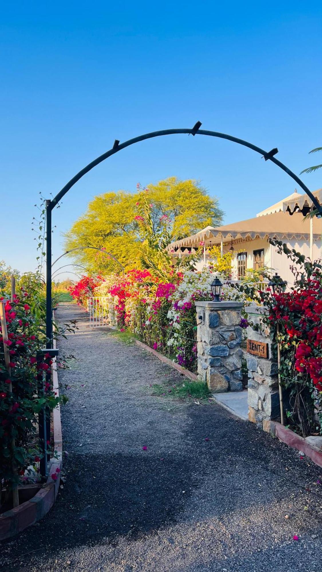 Jawai Greens Jawai Bandh Exterior photo